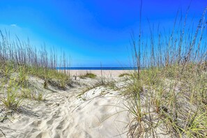 A sandy beach path leading to the ocean with tall grasses on either side.