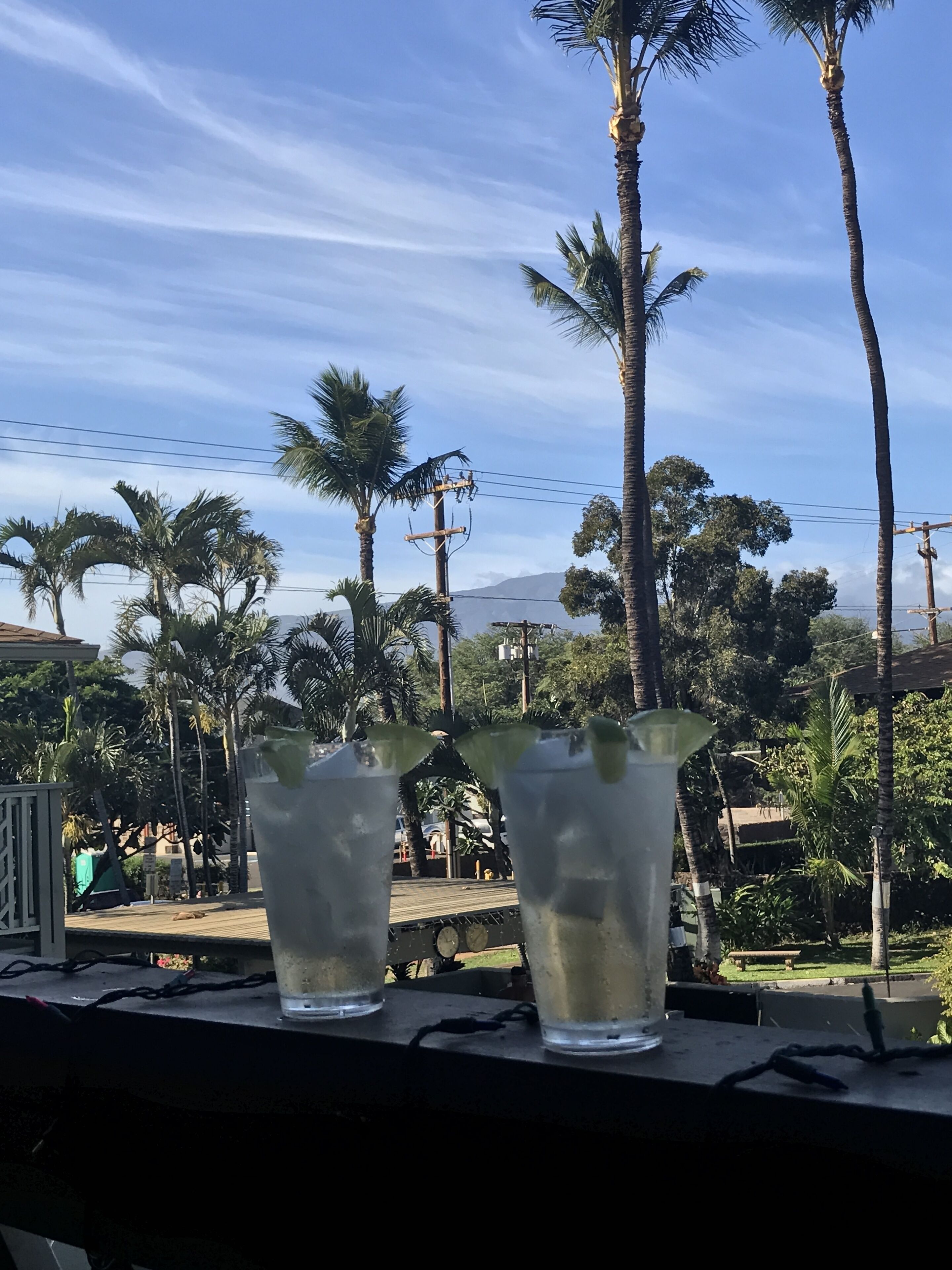 Two glasses of a clear liquid with mint leaves on a table, surrounded by palm trees and a clear sky.