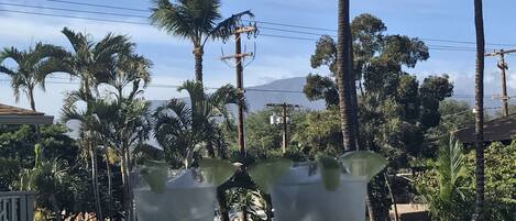 Two glasses of a clear liquid with mint leaves on a table, surrounded by palm trees and a clear sky.