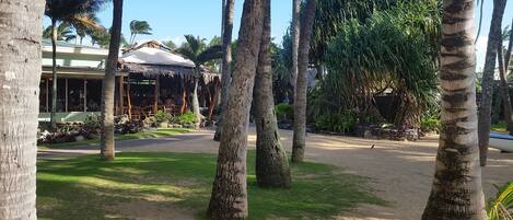 A tropical resort with palm trees, a thatched-roof structure, and a paved area.