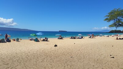 Great Rates - Clean and Cozy Condo!