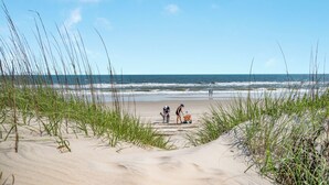 Eine Strandlandschaft mit Dünen und Gras.