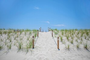 On the beach