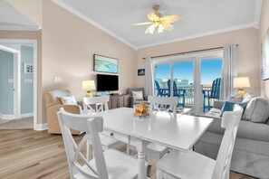 TV, DVD player, books, video library