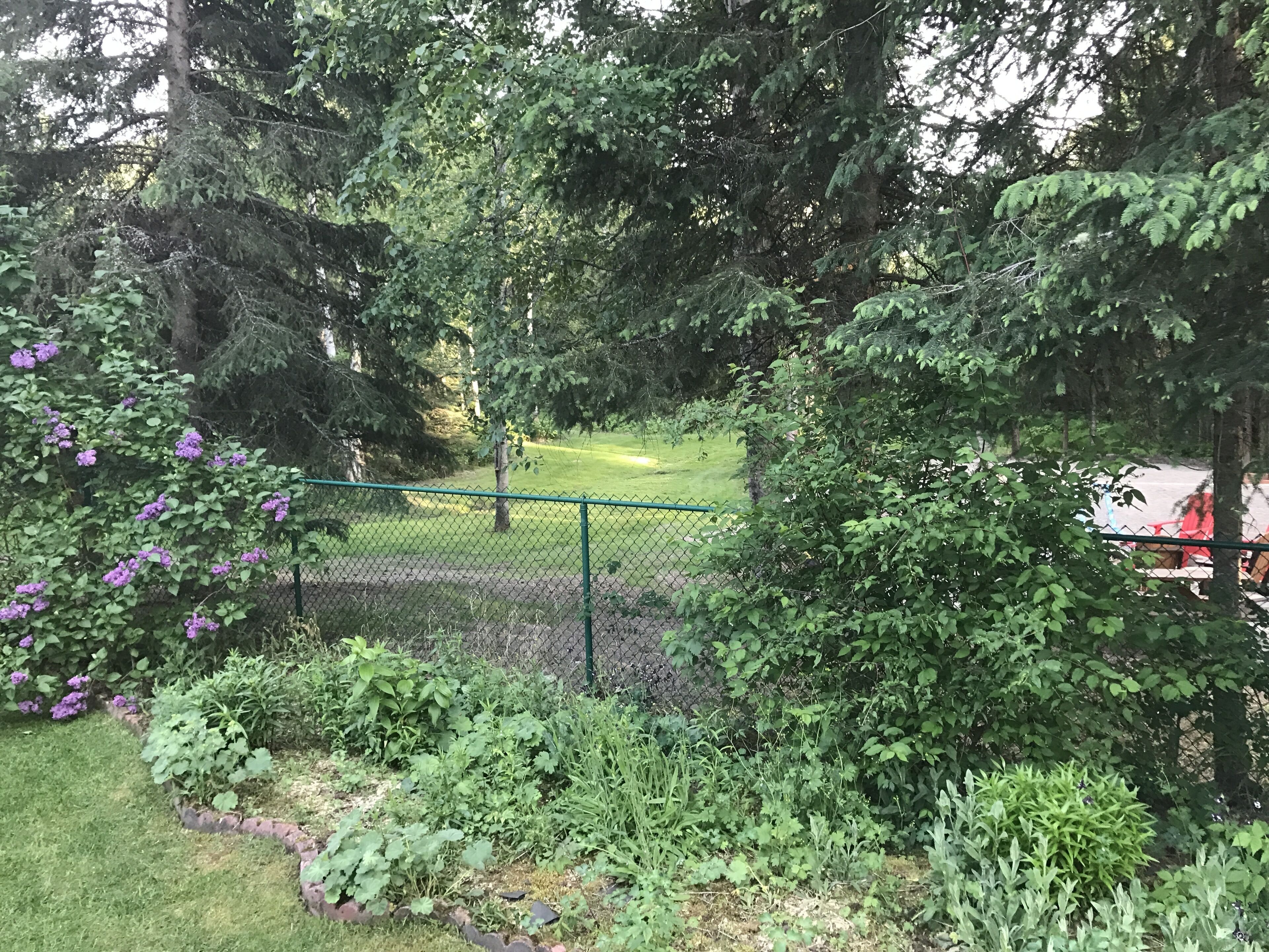 Un jardin clos, agrémenté de diverses plantes et d’arbres.