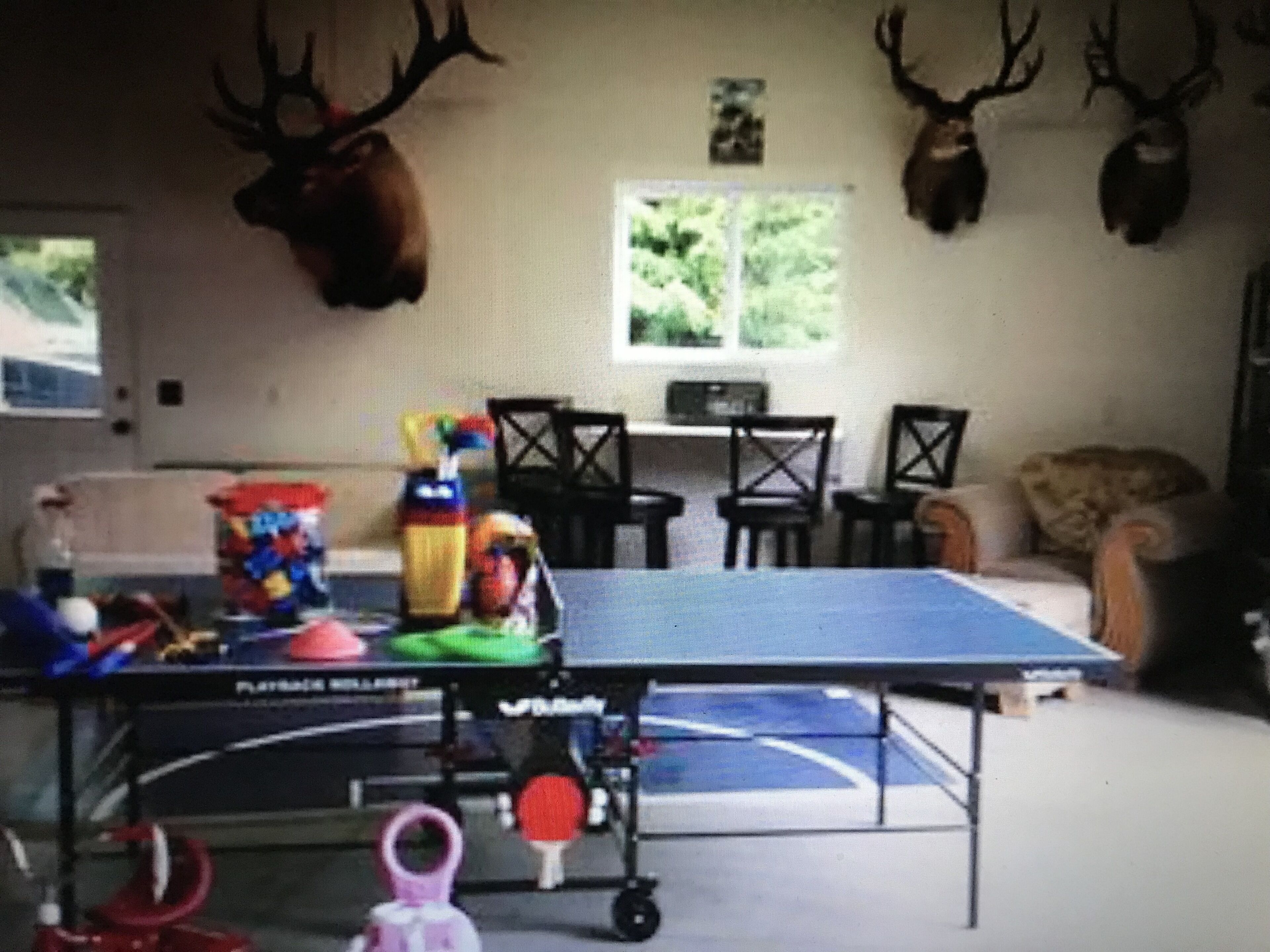 Um quarto com mesa de pingue-pongue, cadeiras e chifres de veado na parede.