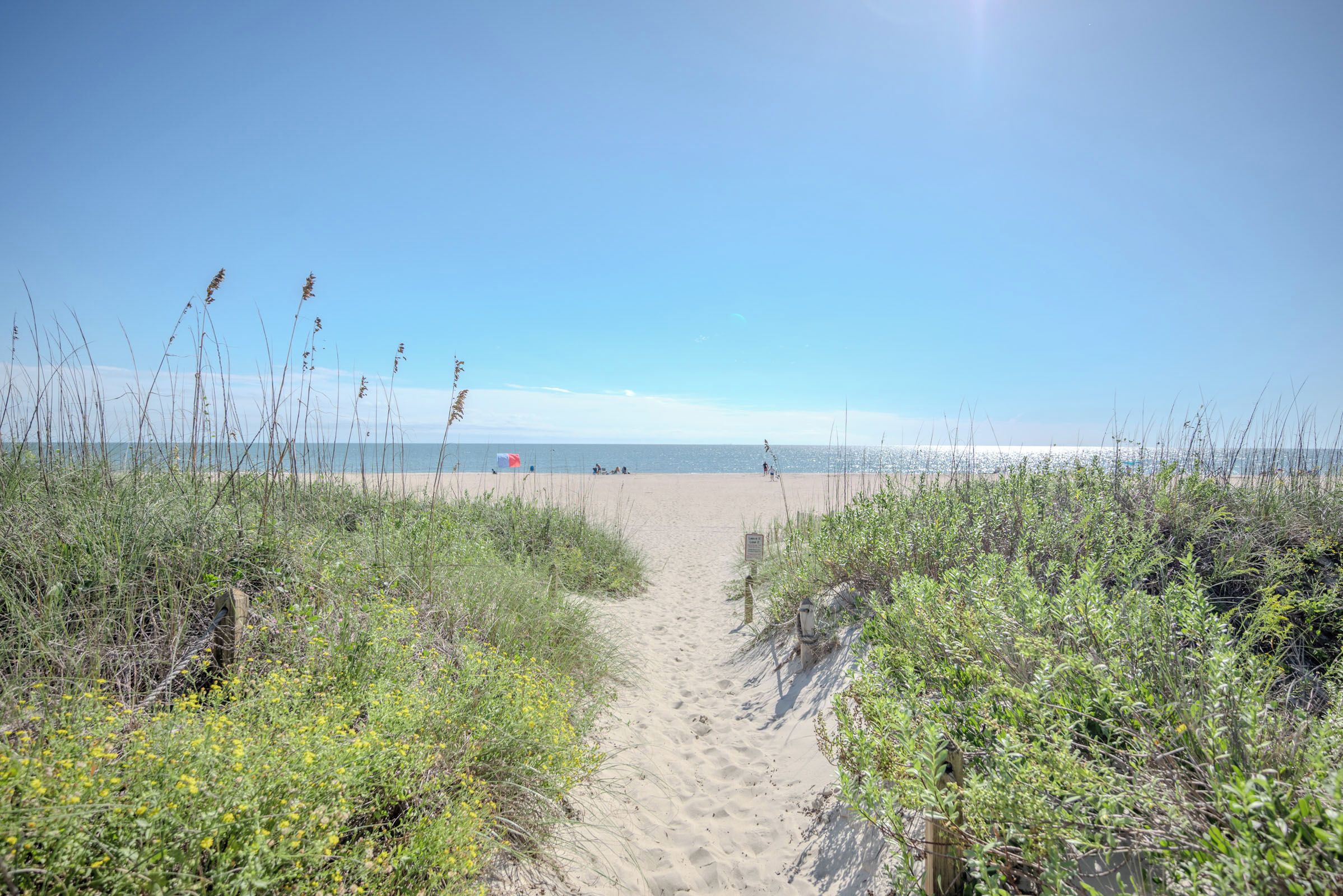 A sandy beach path leading to the sea with vegetation on either side.