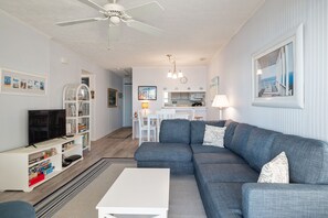 TV, DVD player, books, video library