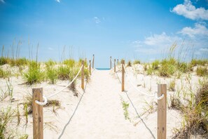 On the beach