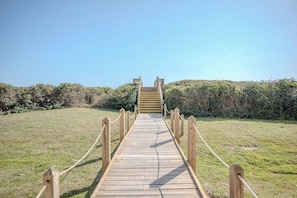 Une promenade en bois mène à un escalier situé dans une zone herbeuse, de part et d’autre de laquelle s’étend une végétation arbustive dense.