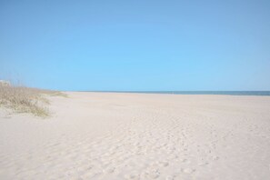 Une plage de sable où l’on peut voir des empreintes menant à l’eau.