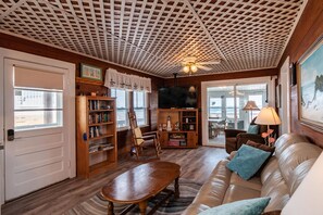 Flat-screen TV, DVD player, books, video library