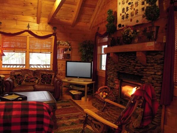 Smart TV, chimenea y reproductor de DVD