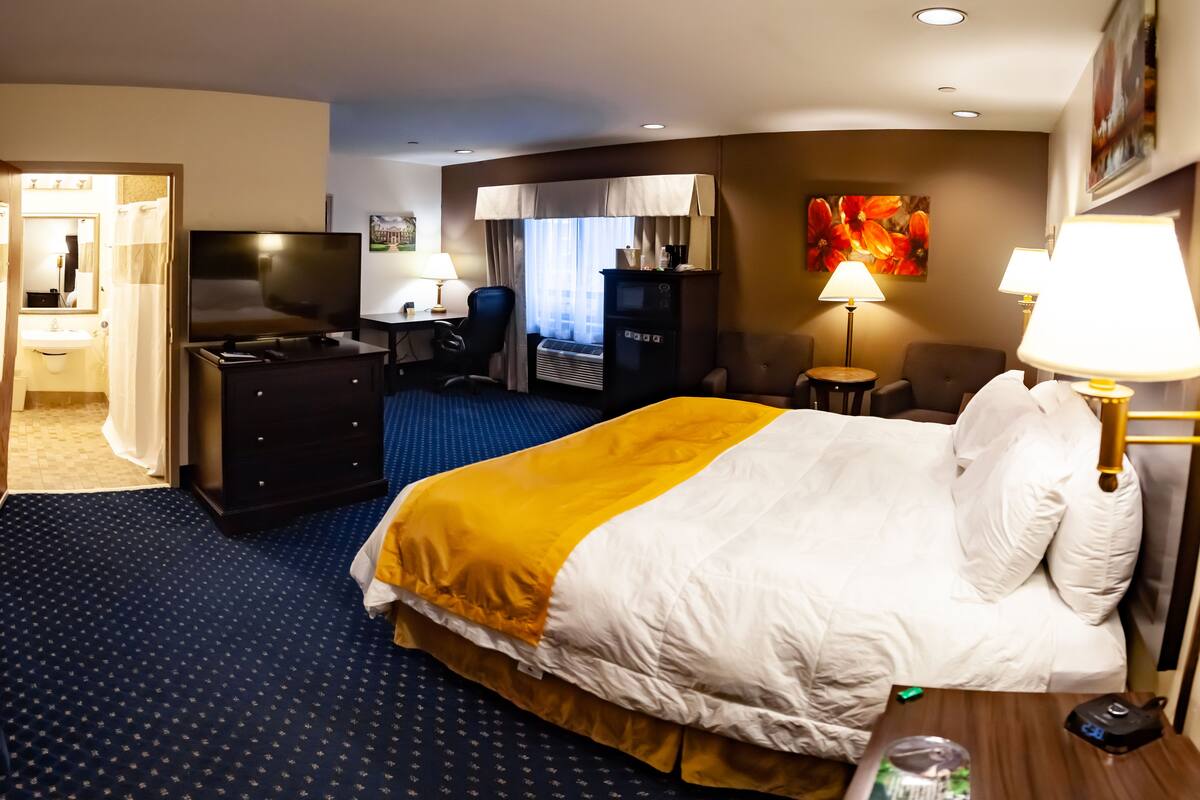 standard single room, 1 king bed, accessible, non smoking | premium bedding, desk, blackout curtains, iron/ironing board