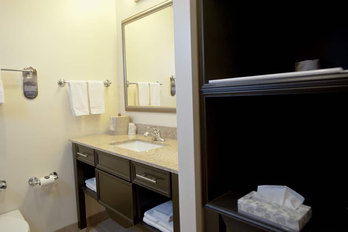 standard double room, 2 queen beds, non smoking | bathroom | eco-friendly toiletries, hair dryer, towels