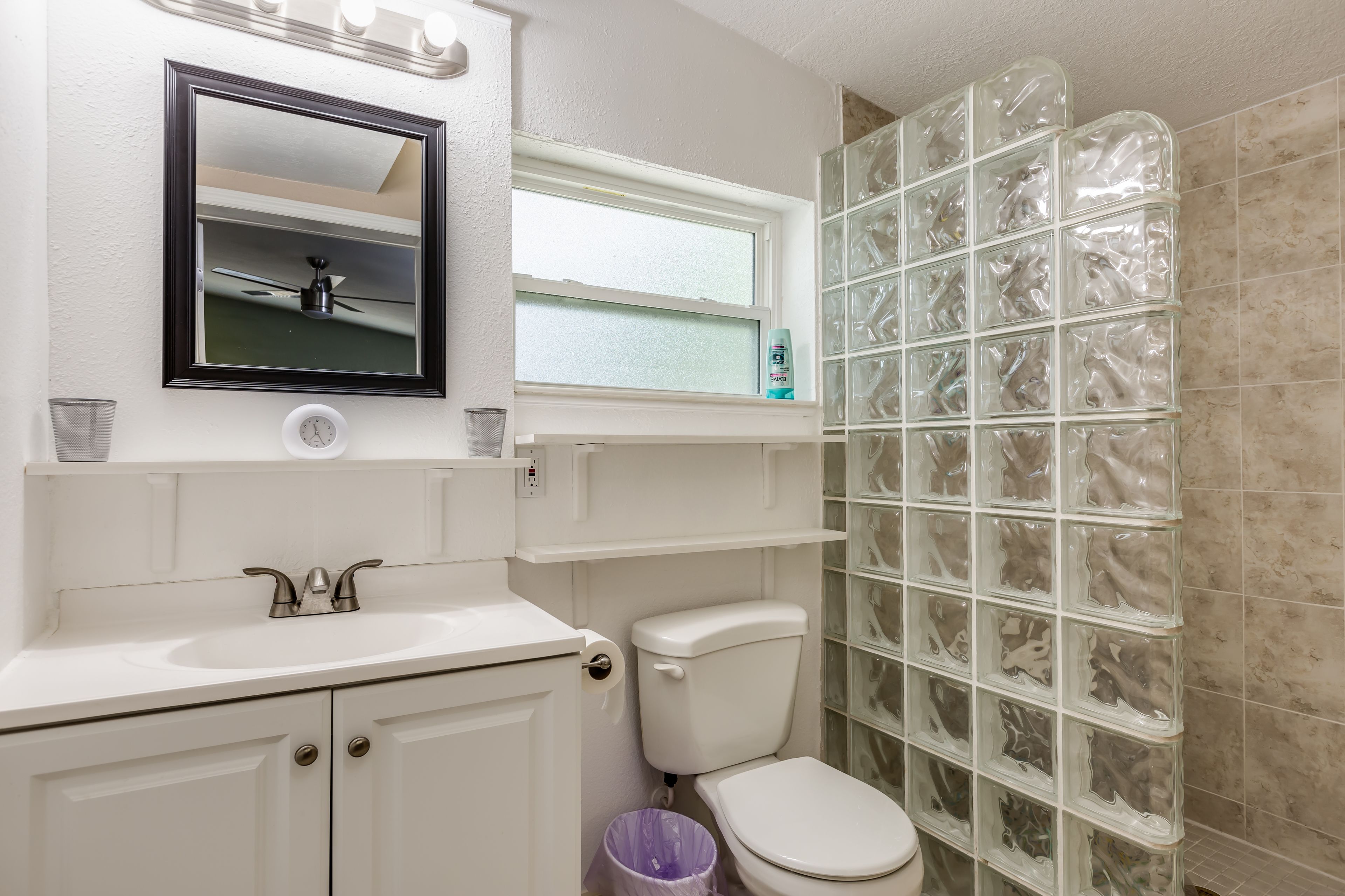 A bathroom with a white sink, a toilet, a mirror, and a shower with frosted glass tiles.