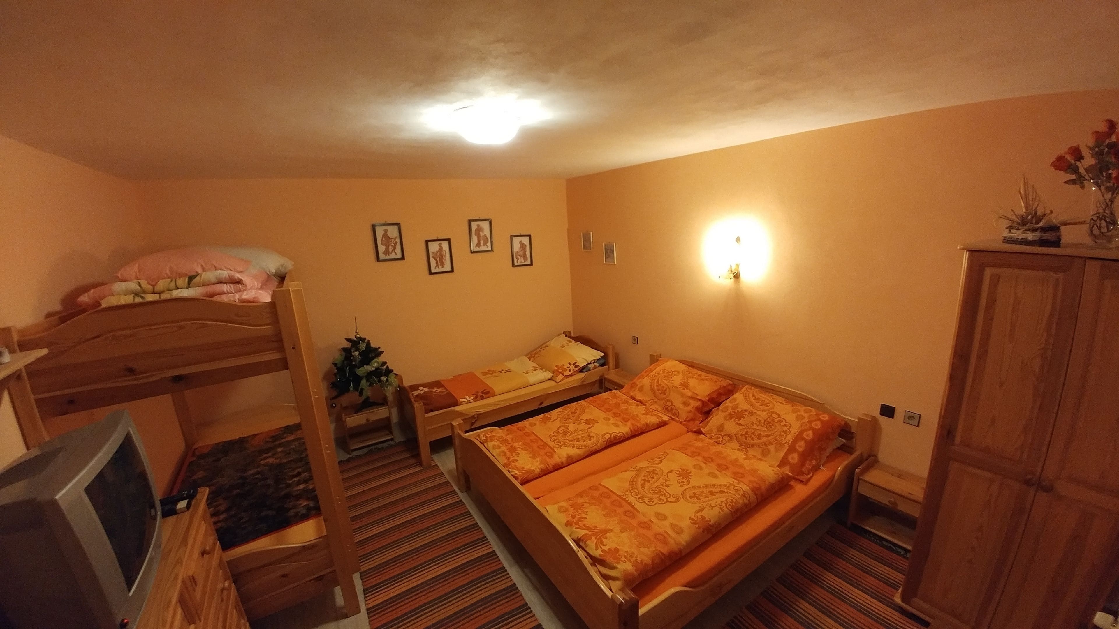 A room with a bunk bed, a single bed, a small table with a plant, and a cabinet.