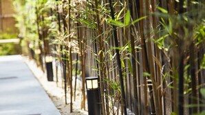 A pathway lined with bamboo plants and black lanterns. - utsuwa Designed Hostel (Kyoto)