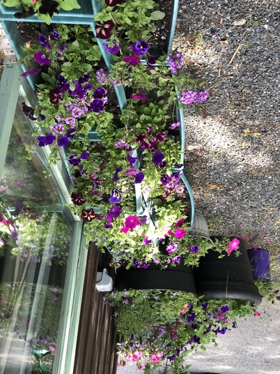 Anny's Treetop on the Quietside Mt Desert Island,& Acadia National Park