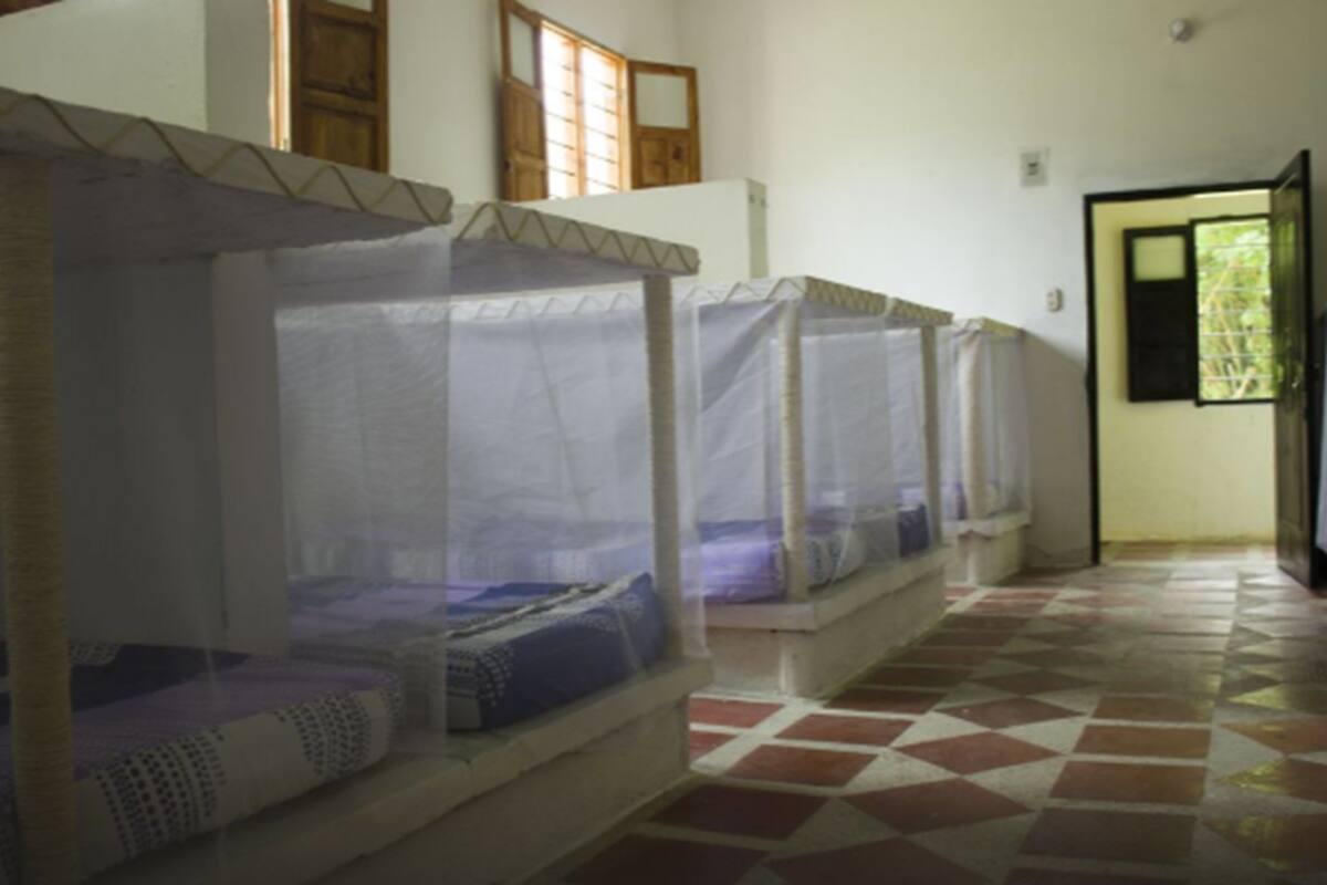 Dormitorio compartido, dormitorio mixto (12 beds) | Escritorio, wifi gratis, ropa de cama