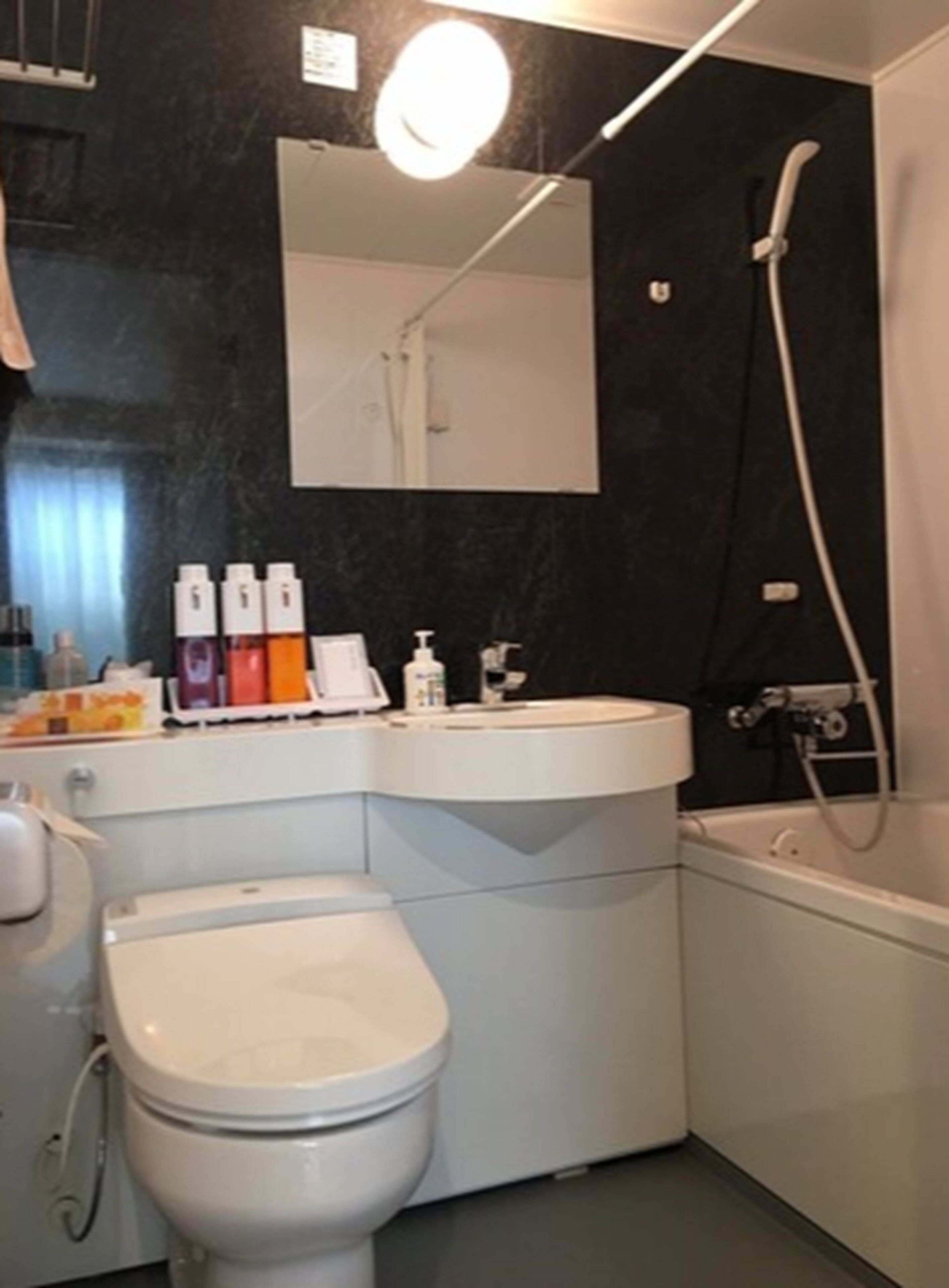 shower, free toiletries, hair dryer, slippers