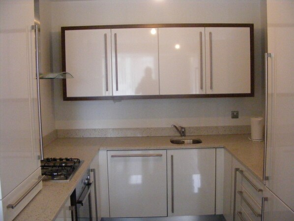 Full-size fridge, oven, stovetop, cookware/dishes/utensils