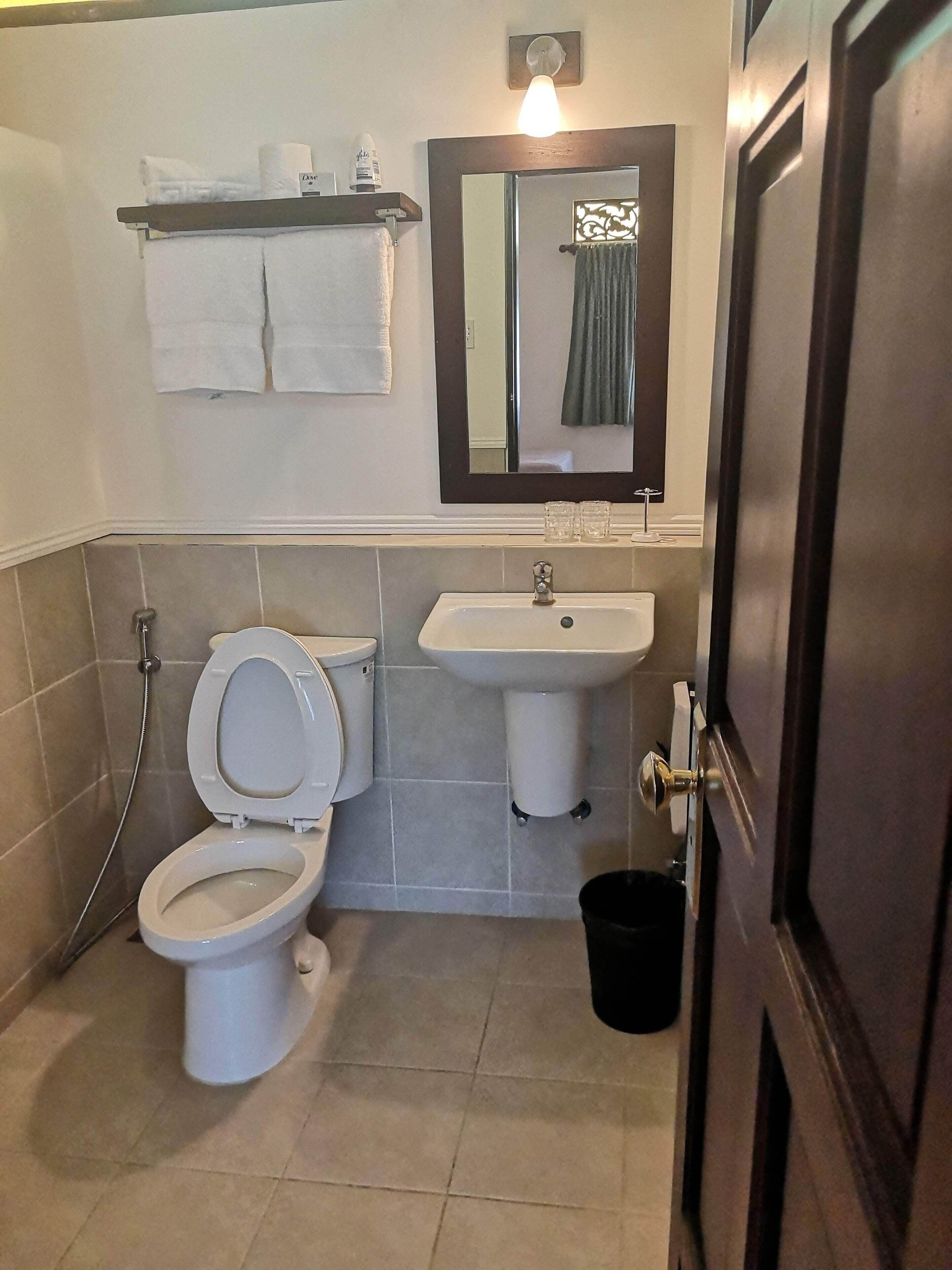 A bathroom with a toilet, sink, and a mirror.