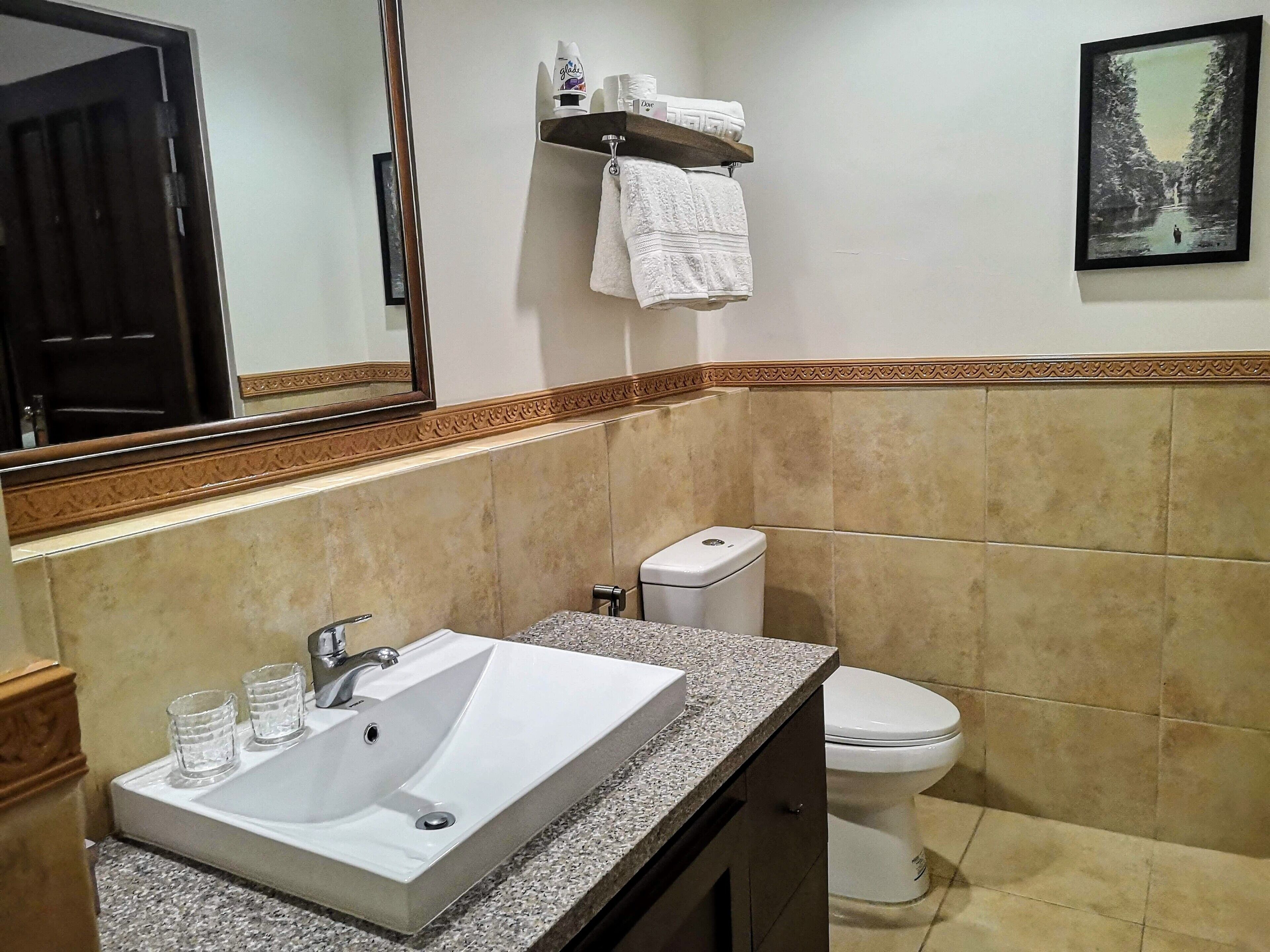 A bathroom with a sink, mirror, towel rack, toilet, and a framed picture on the wall.