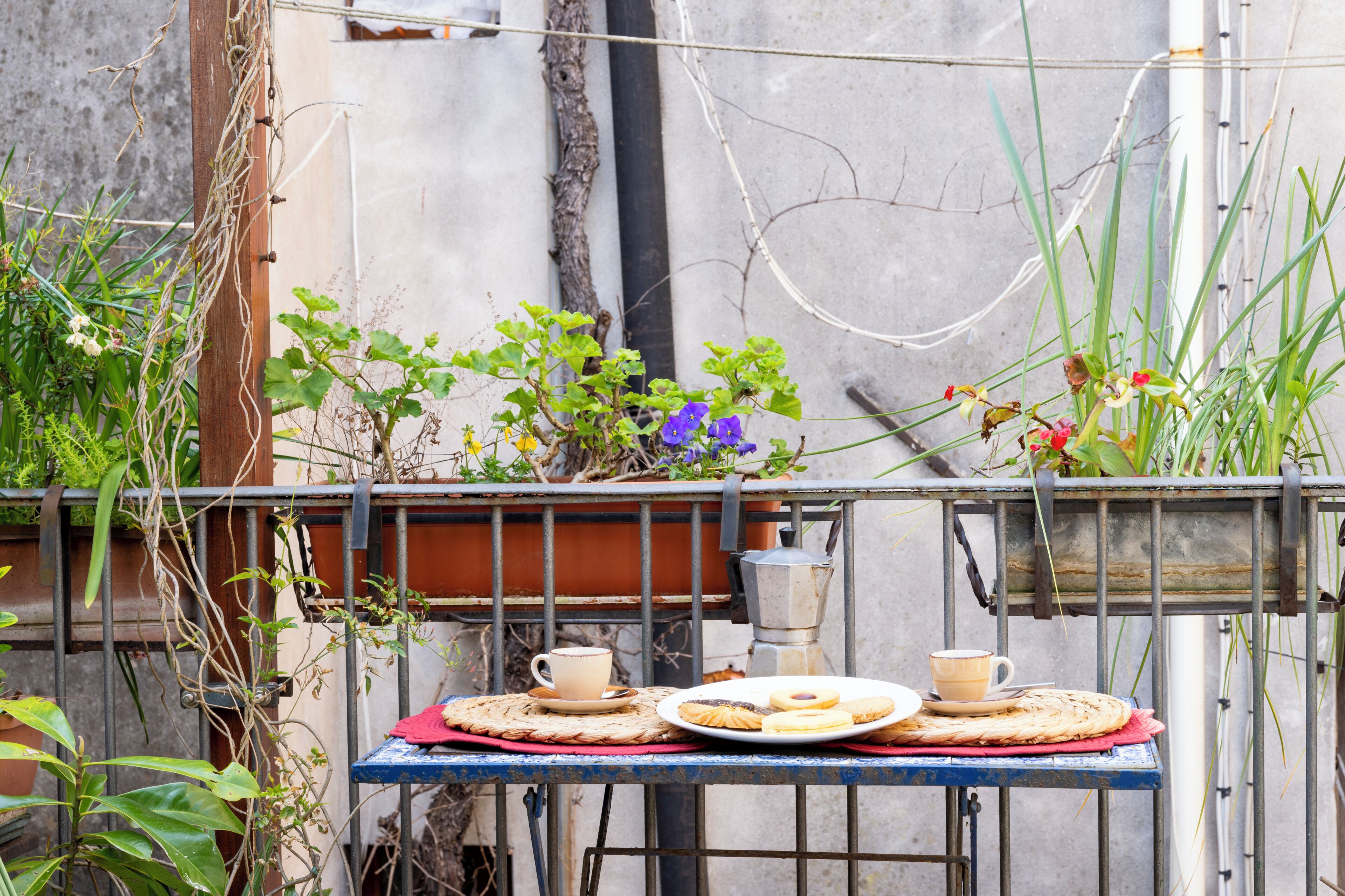 Ein Tisch mit Kaffeekanne, Tassen und Gebäck auf einem Balkon mit Pflanzen und Metallgeländer.