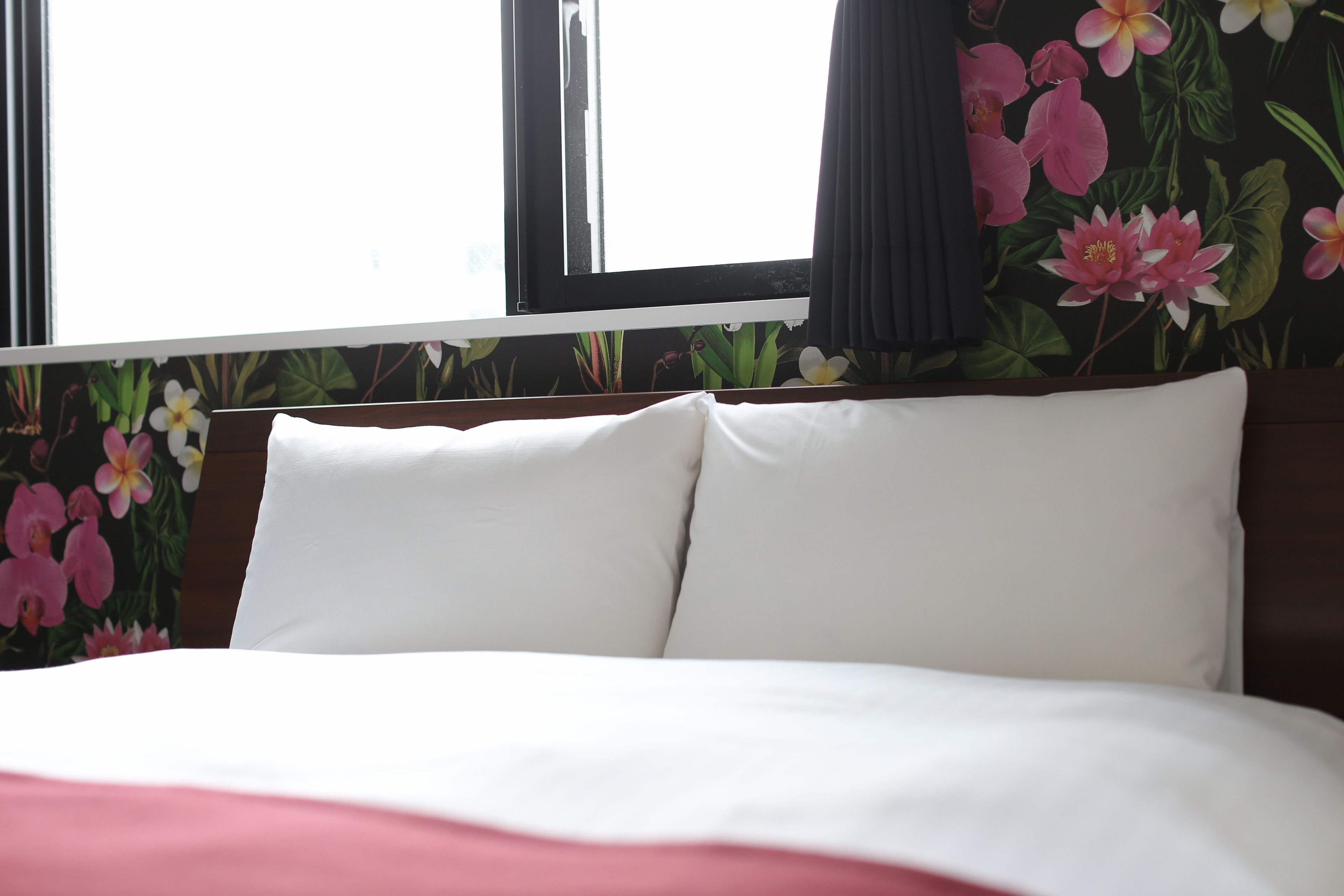 basic apartment | down duvets, iron/ironing board, free wifi