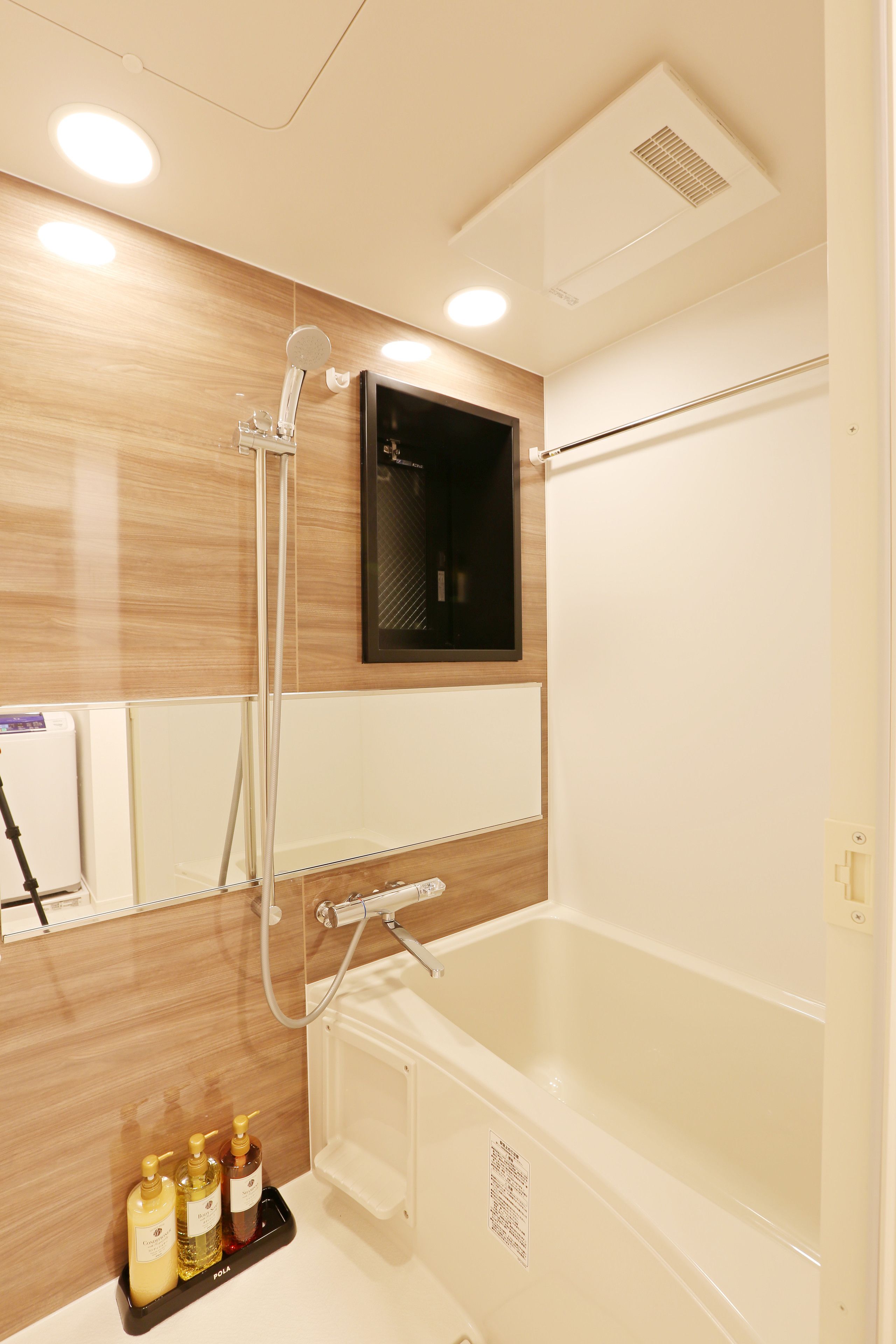 basic apartment | bathroom | separate bathtub and shower, deep-soaking bathtub, hair dryer