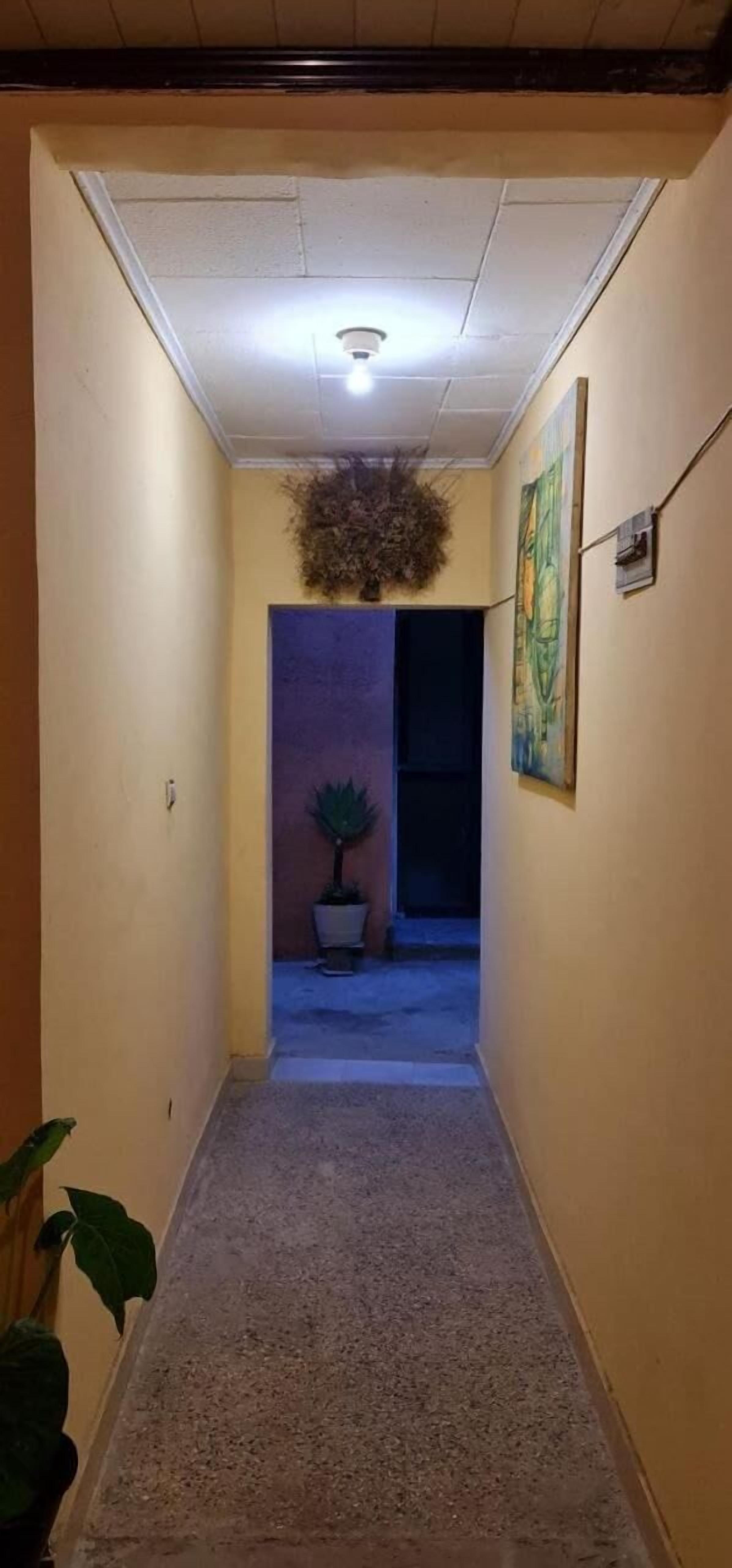 Foto - Lucy Guest House