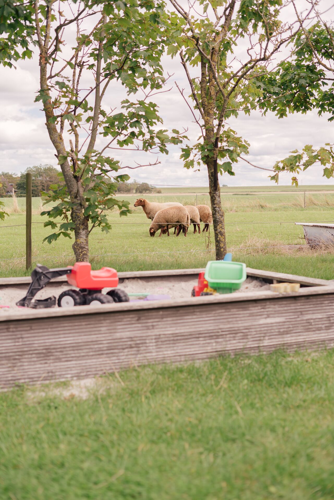 Landelijk landschap met schapen die grazen in een veld, omringd door bomen en een houten hek.