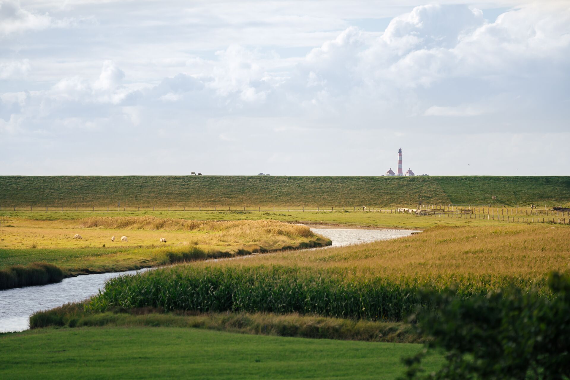 A coastal landscape with a lighthouse, grassy fields, and a small water channel.