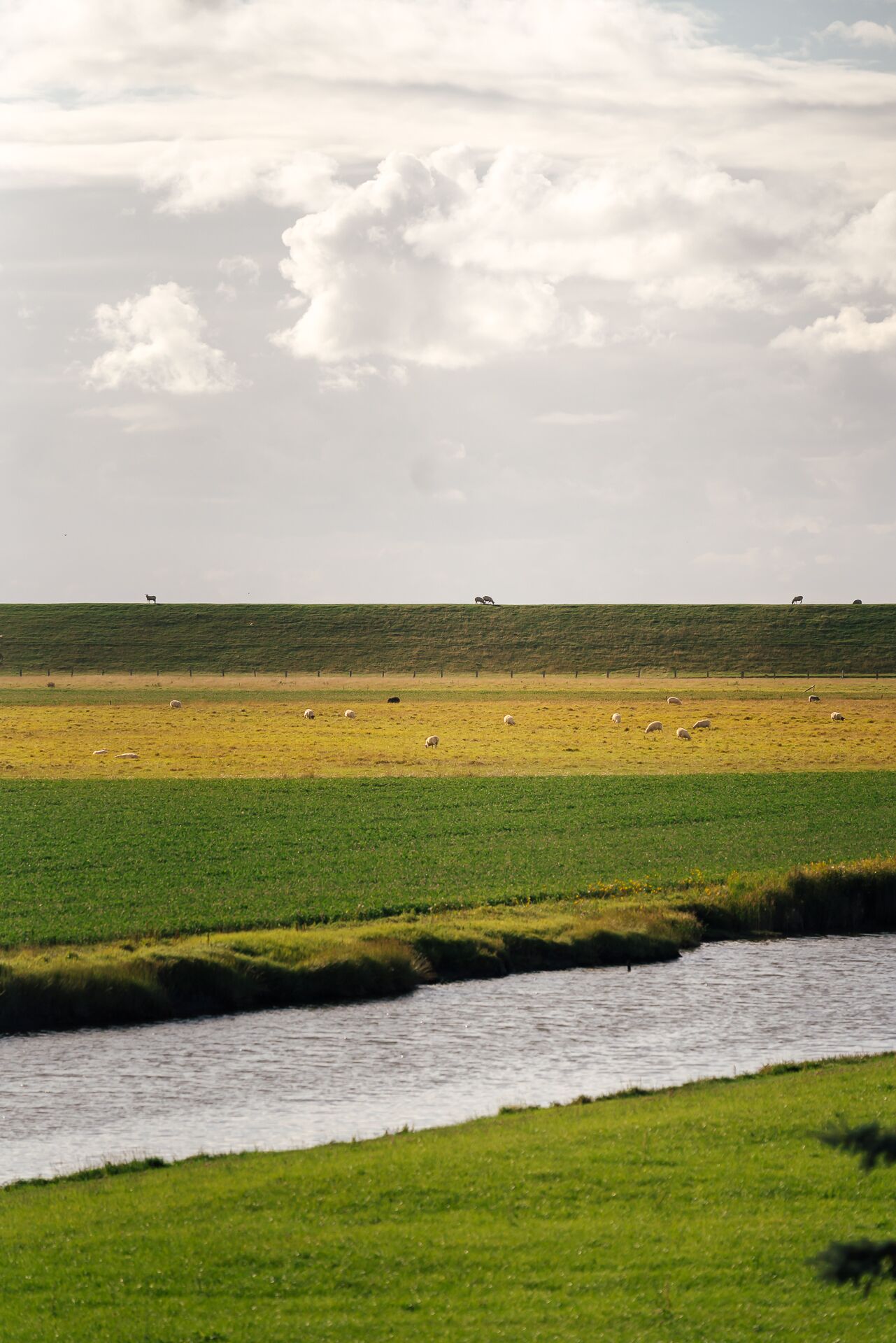 A wide, flat landscape with a river in the foreground and a hilly area in the background.