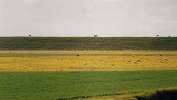 A wide, flat landscape with a river in the foreground and a hilly area in the background.