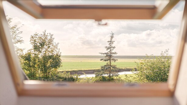 A view through a window with a clear sky, a tree, and a field. - FEWO auf dem Lande (Tumlauer Koog)