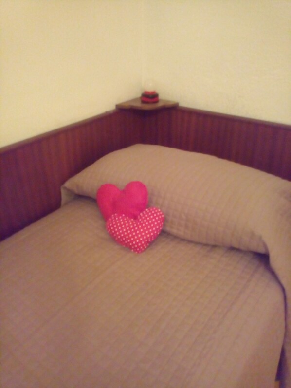 Basic Double or Twin Room