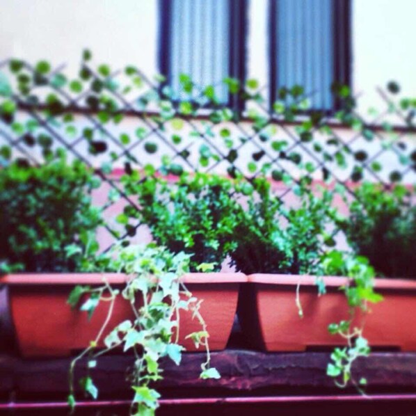 Una fila de macetas con plantas en un balcón con baranda de metal.