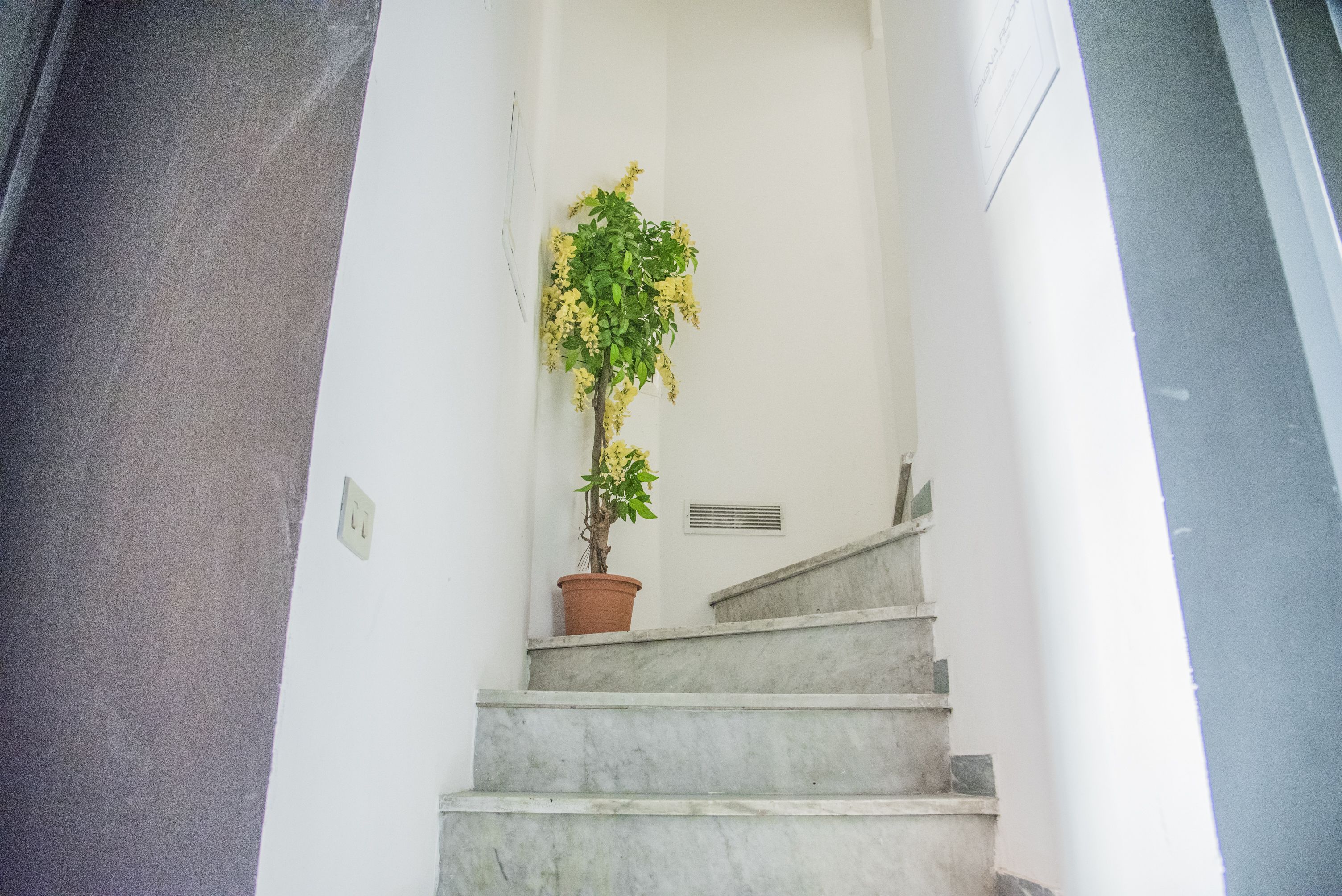 Foto - Spagna Luxury Rooms