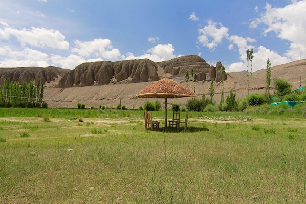 Exterior detail - The Last Resort (Leh)