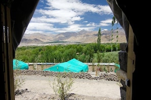 Mountain view - The Last Resort (Leh)
