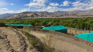 Unclassified image, 2 of 8, button - The Last Resort (Leh)