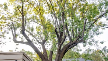 Jardín