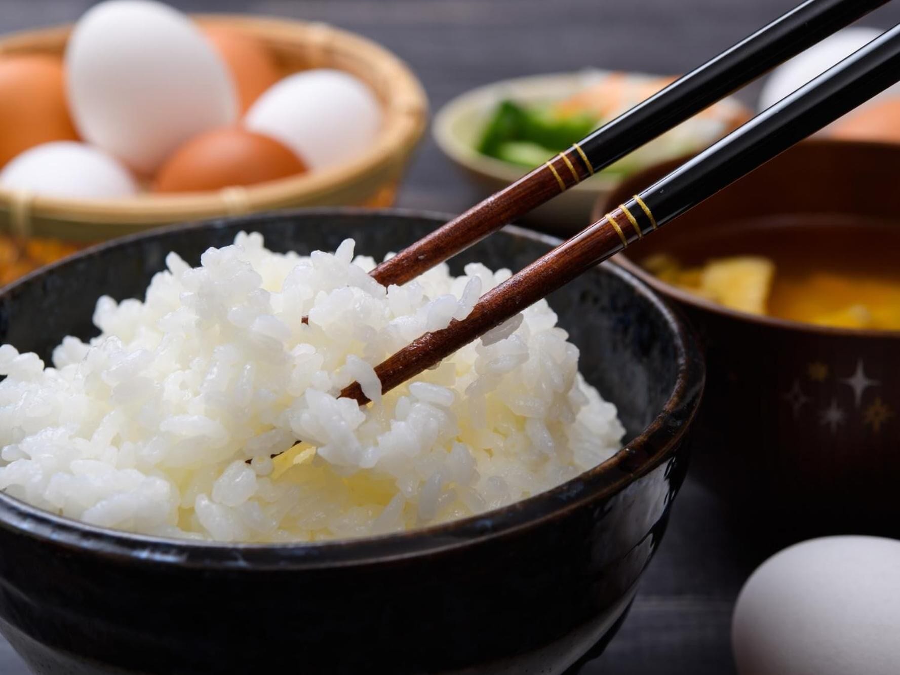 lunch and dinner served, japanese cuisine