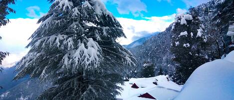 Uitzicht op de bergen