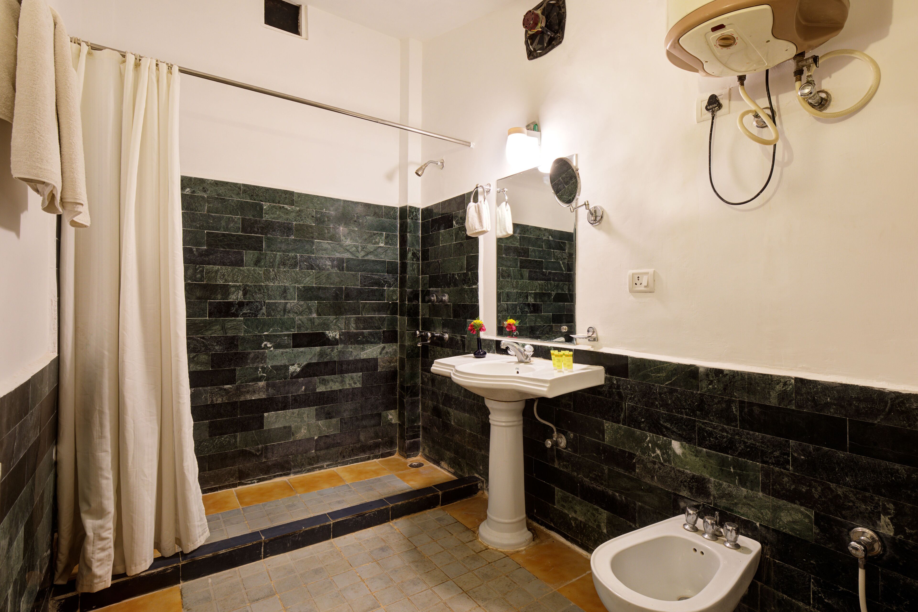 A bathroom with a shower, a pedestal sink, a bidet, and a mirror.