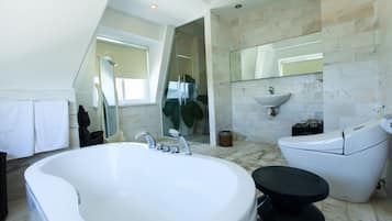 Un bagno moderno con una grande vasca, un WC separato, un lavandino e uno specchio.