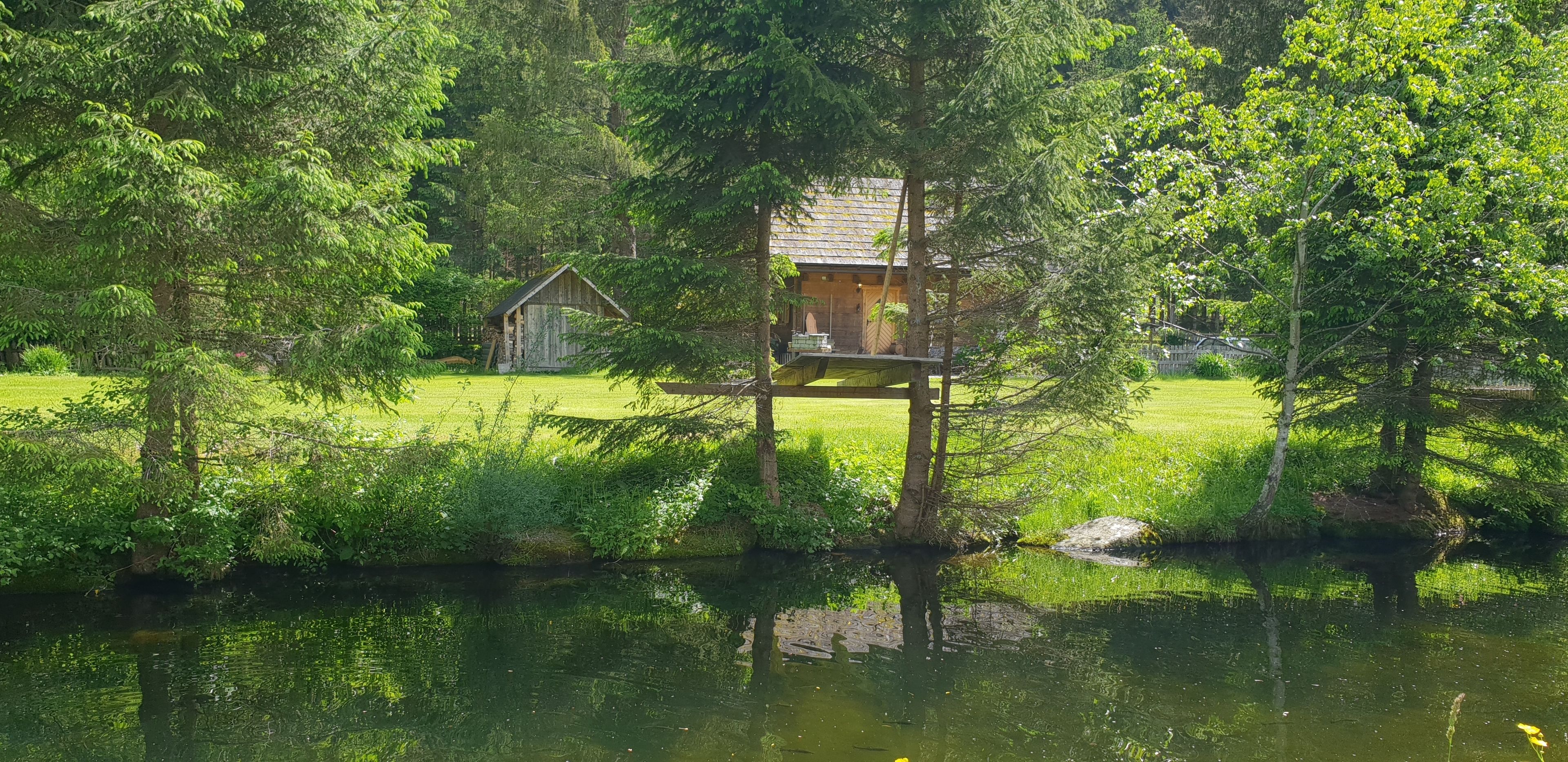 Deluxe Cottage | Pemandangan dari bilik