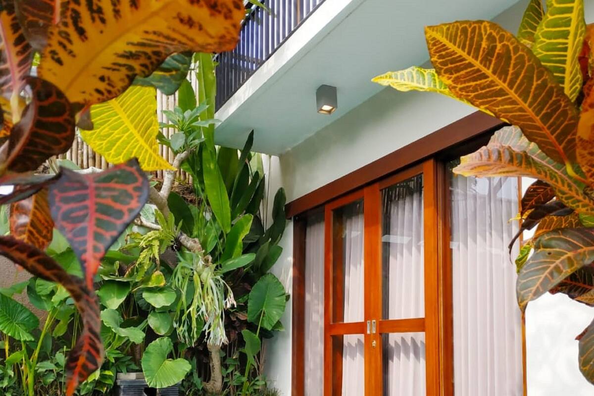 A swimming pool with a tiled deck, surrounded by tropical plants and a wooden door with glass panels.